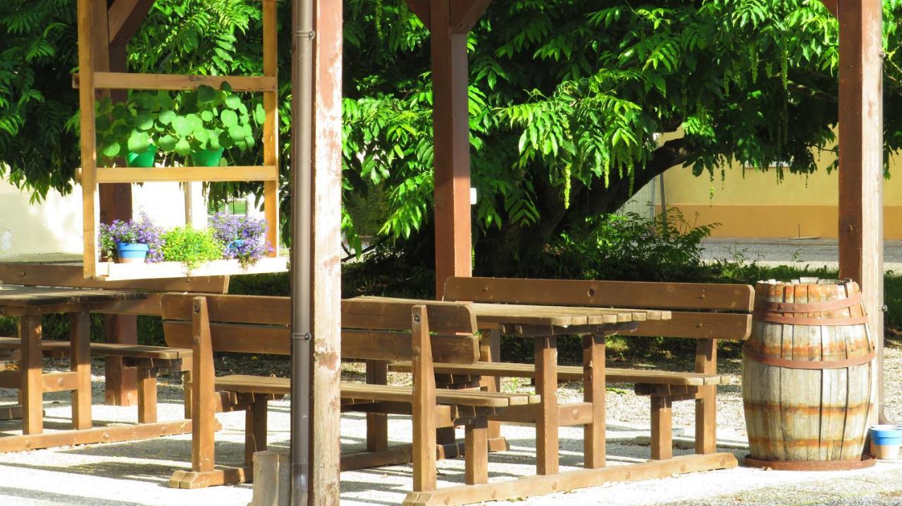 Agriturismo Rivieraoglio Piadena Экстерьер фото
