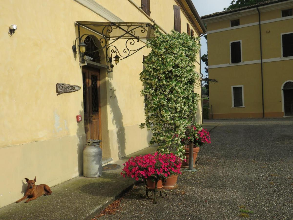 Agriturismo Rivieraoglio Piadena Экстерьер фото