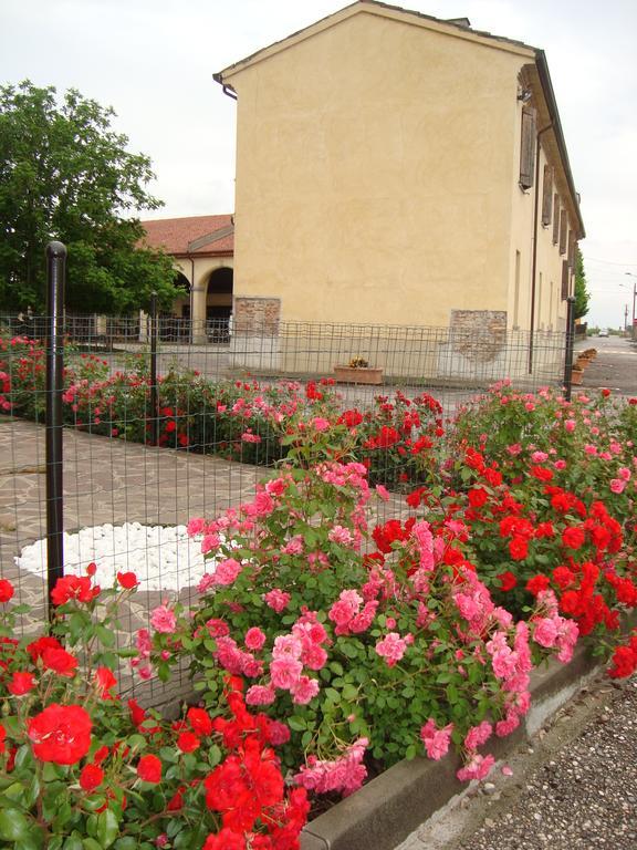 Agriturismo Rivieraoglio Piadena Экстерьер фото