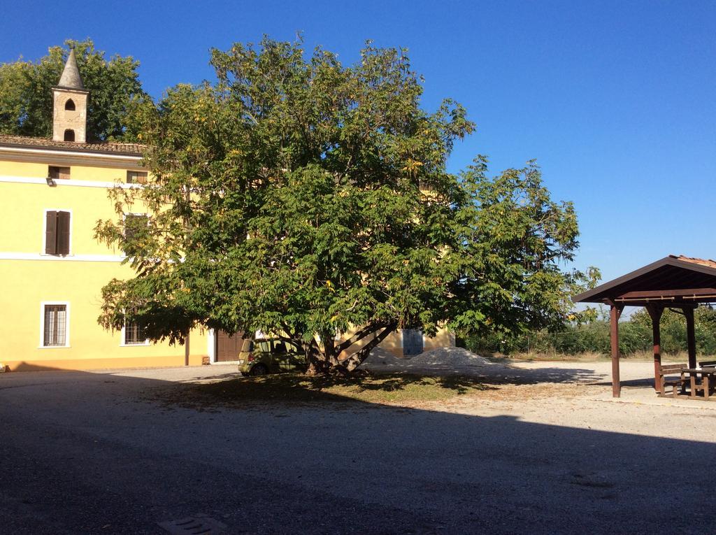 Agriturismo Rivieraoglio Piadena Экстерьер фото
